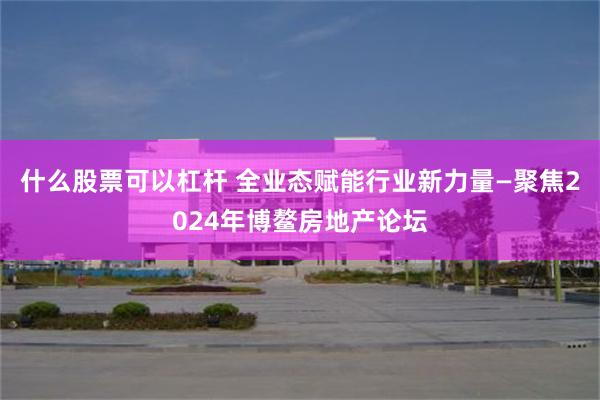 什么股票可以杠杆 全业态赋能行业新力量—聚焦2024年博鳌房地产论坛