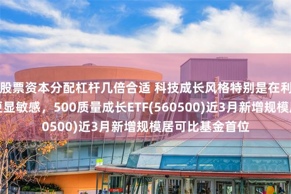 股票资本分配杠杆几倍合适 科技成长风格特别是在利率下调背景下更显敏感，500质量成长ETF(560500)近3月新增规模居可比基金首位