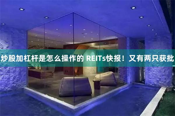 炒股加杠杆是怎么操作的 REITs快报！又有两只获批