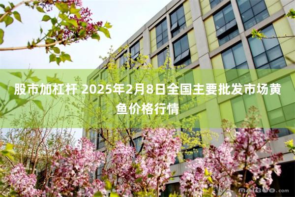 股市加杠杆 2025年2月8日全国主要批发市场黄鱼价格行情