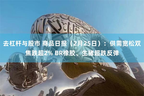 去杠杆与股市 商品日报（2月25日）：供需宽松双焦跌超2% BR橡胶、生猪超跌反弹